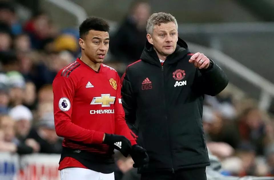 為她是巴西 為她是巴西